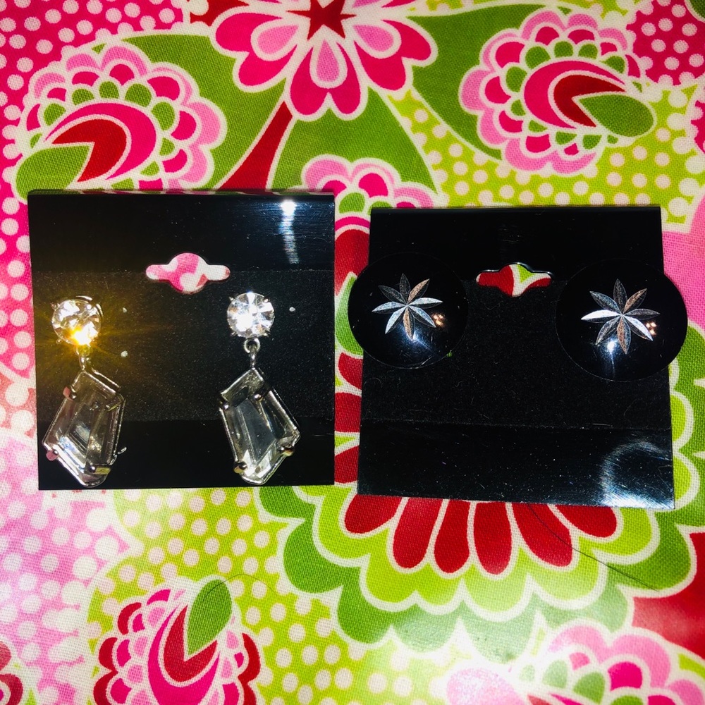 2 pair of fun fashion earrings bundle